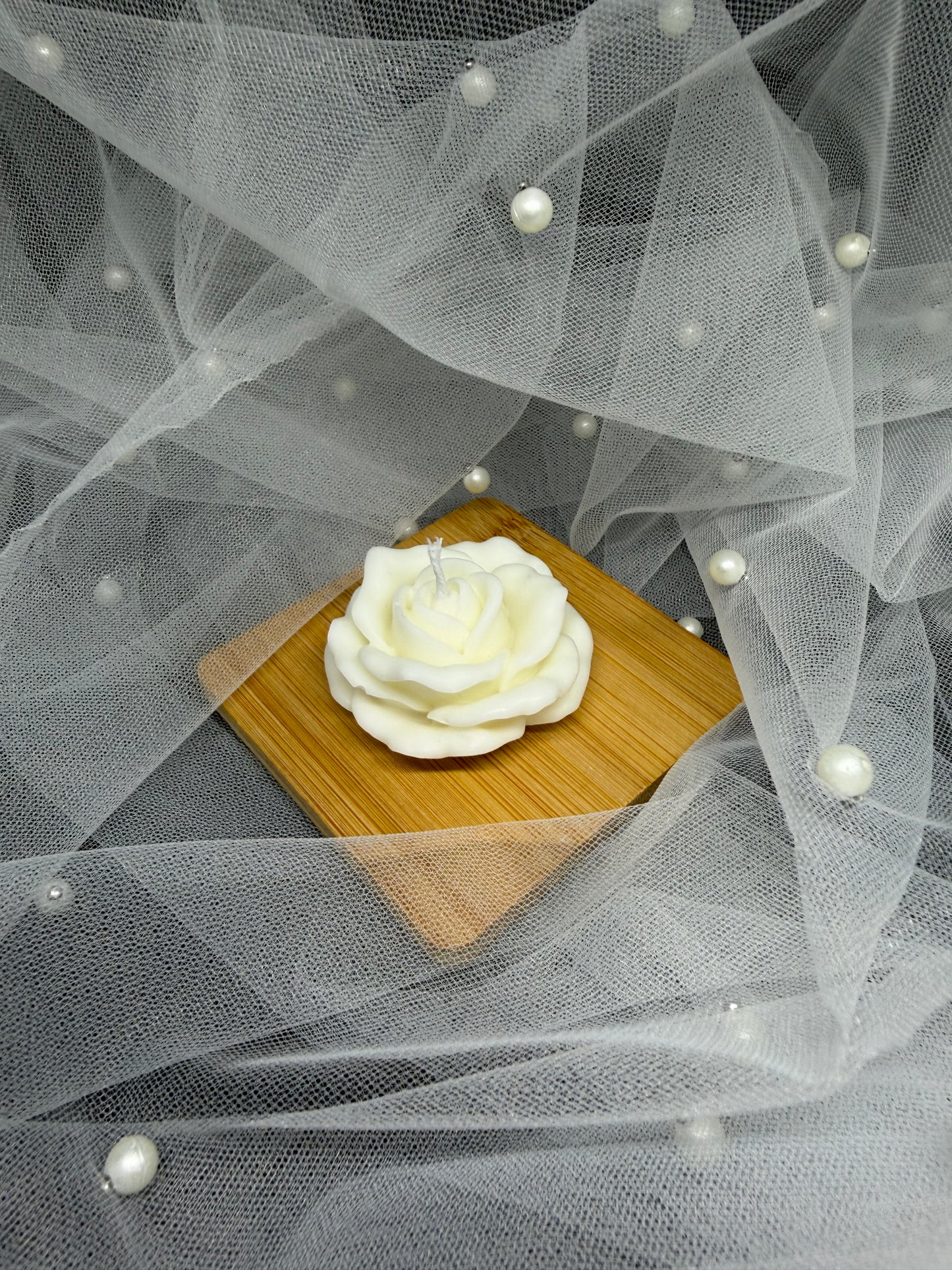 Rose geöffnet
